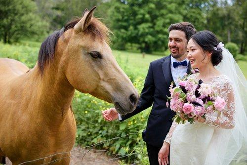 mobile - carousel-hero-element image-0